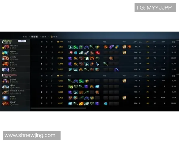 RNG在Major赛中的灵活战术与应变能力全面解析