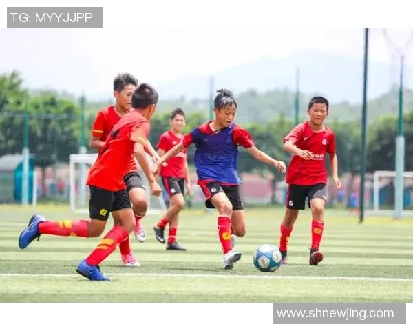 足球明星职业生涯发展规划与未来潜力挖掘策略探讨 足球明星职业生涯发展规划与未来潜力挖掘策略探讨